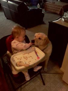 It didn't take Emery long to figure out why Ellie sat by her side every time she ate.